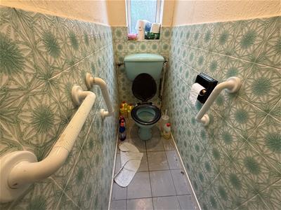 Picture 7